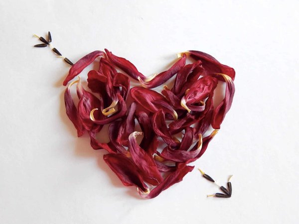 Comment choisir des bijoux qui représentent votre amour?