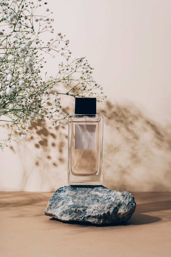 Où trouver des parfums abordables sans compromettre la qualité ?